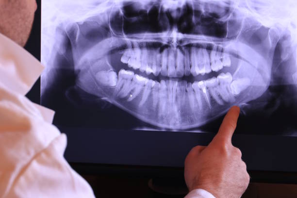 Best Emergency X-Rays and Diagnostics in Alto, TX