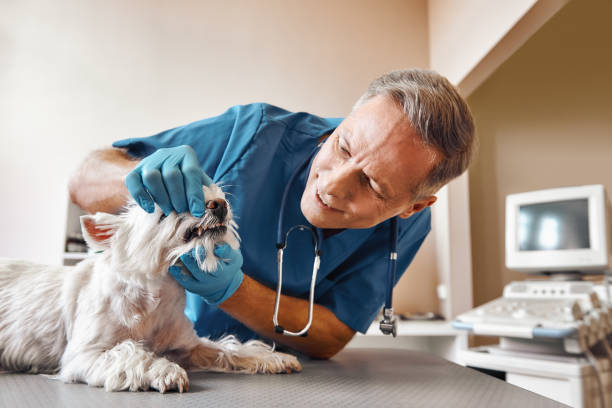 Best Emergency Wisdom Tooth Extraction in Alto, TX